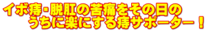 イボ痔・脱肛の苦痛をその日の   　うちに楽にする痔サポーター！